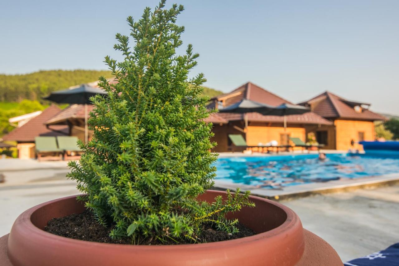 Kedar Selo Goc Villa Exteriör bild